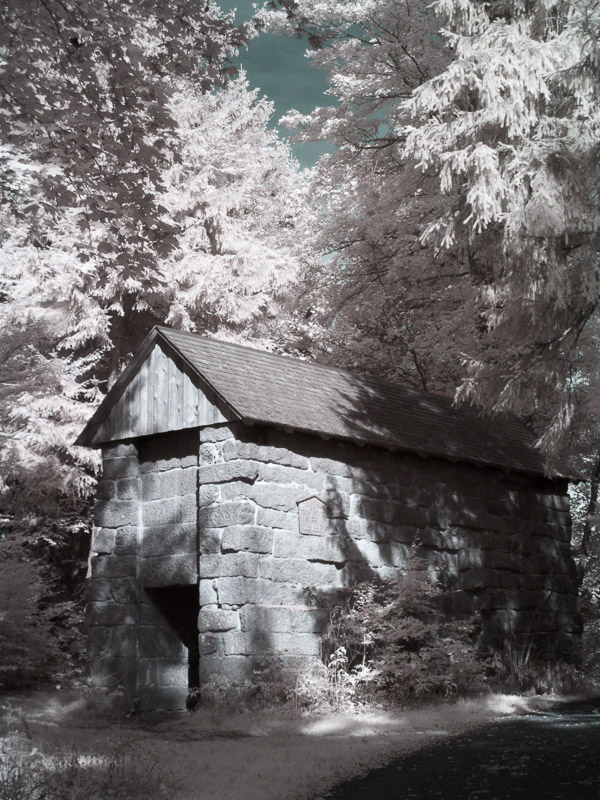 Am Waldstein